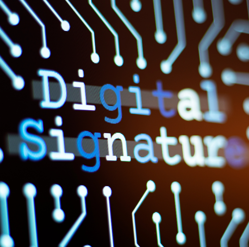Digital Signature Registration Services in Chennai | Complisys