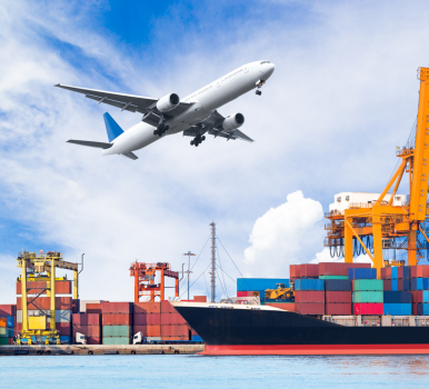 IE Code Services in Chennai | Complisys