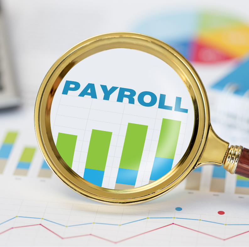 Payroll Management Services in Chennai | Complisys